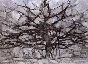 Grey tree Piet Mondrian